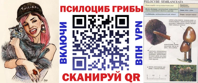 сколько стоит Кондопога Галлюциногенные грибы MAGIC MUSHROOMS