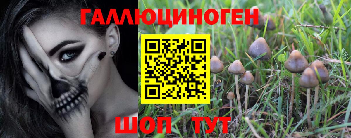 Псилоцибиновые грибы ЛСД  Вход с VPN  Кондопога 
