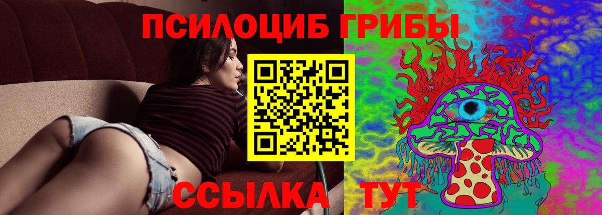 Псилоцибиновые грибы MAGIC MUSHROOMS Кондопога